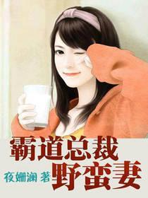 霸道总裁野蛮妻