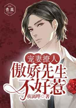 宠妻撩人:傲娇先生不好惹