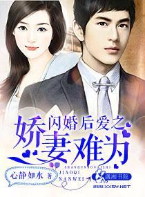 闪婚后爱之娇妻难为