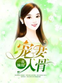 一夜缠绵：宠妻入骨