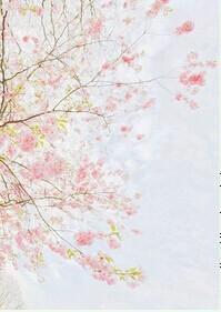 恋爱妥妥的