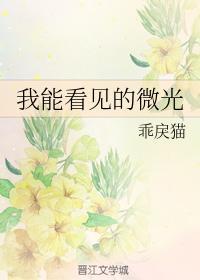我能看见的微光