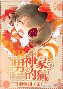 男神家的猫