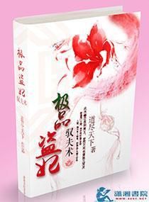 极品盗妃驭夫术