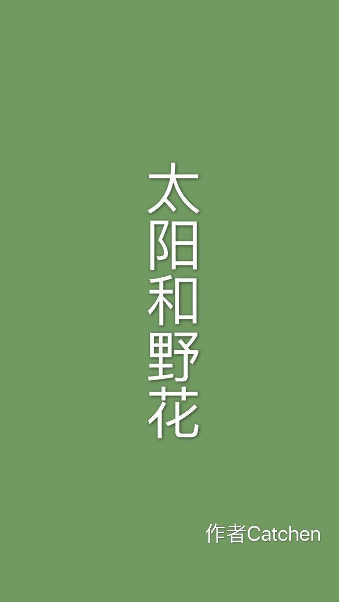 太阳和野花