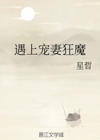 遇上宠妻狂魔