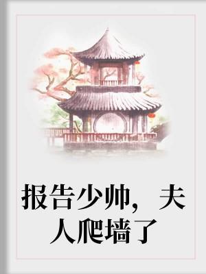 报告少帅，夫人爬墻了