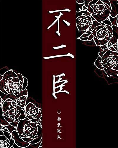 不二臣