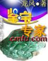 鉴宝专家