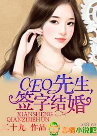 CEO先生,签字结婚!