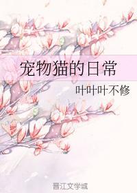 宠物猫的日常