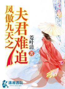 凤傲九天之夫君难追