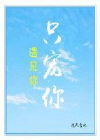 遇见你,只宠你