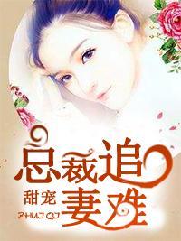甜宠：总裁追妻难