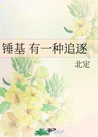 锤基 有一种追逐