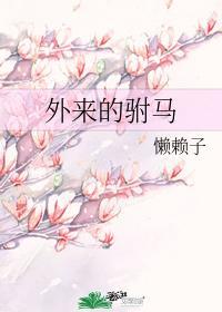 外来的驸马