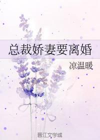 总裁娇妻要离婚