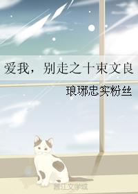爱我，别走之十束文良