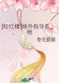 [综红楼]场外指导系统