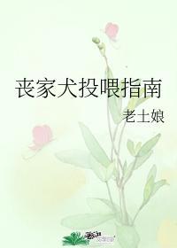 丧家犬投餵指南