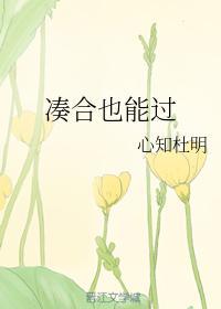 凑合也能过