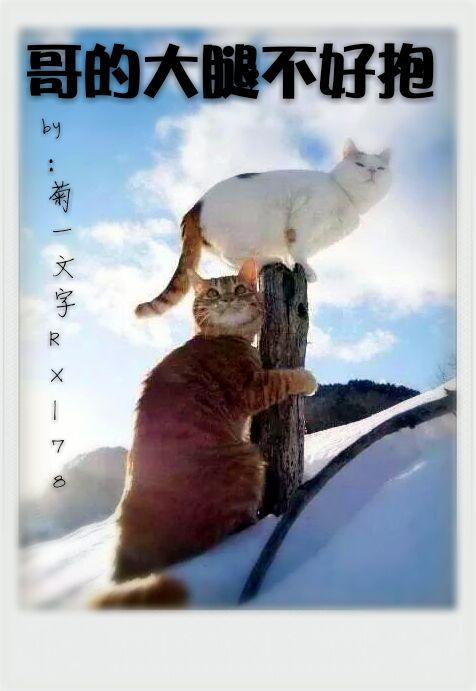 哥的大腿不好抱