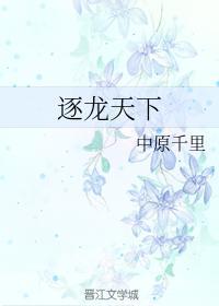 逐龙天下