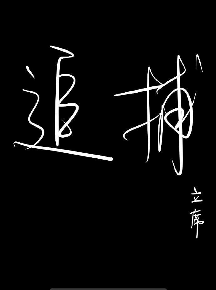 追捕