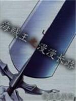 海贼王之漫漫长路