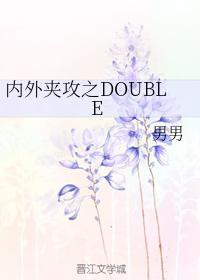 内外夹攻之DOUBLE