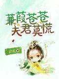 蒹葭苍苍,夫君莫慌