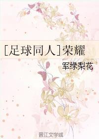 [足球同人]荣耀