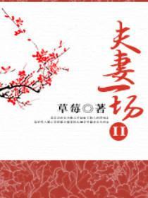 夫妻一场II