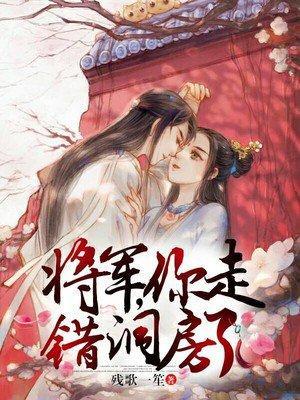 将军,你走错洞房了-残歌一笙
