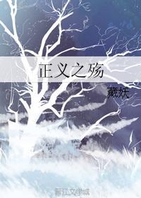 正义之殇