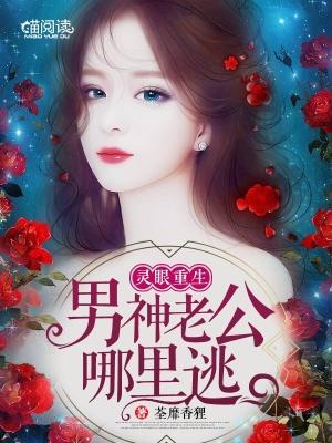 灵眼重生：男神老公哪里逃