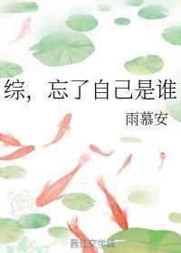 综，忘了自己是谁