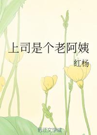 上司是个老阿姨