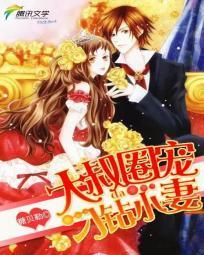 大叔圈宠：刁钻小妻