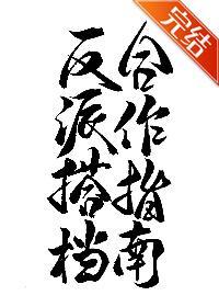 反派搭檔合作指南