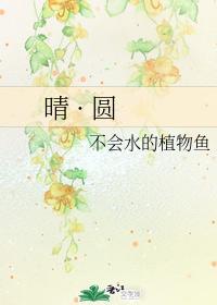 晴·圆