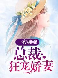 一夜缠绵：总裁狂宠娇妻