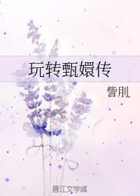 玩转甄嬛传