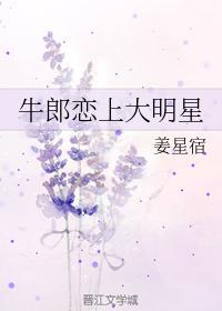 牛郎恋上大明星