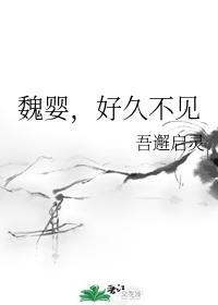 魏婴，好久不见