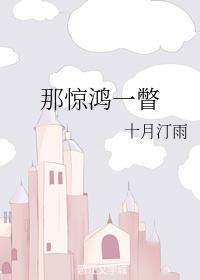 那惊鸿一瞥