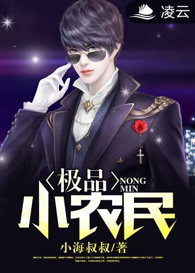 极品小农民