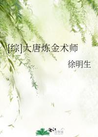 [综]大唐炼金术师