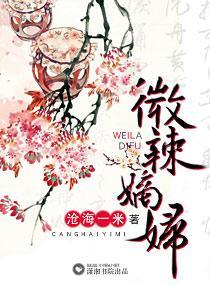微辣嫡妇