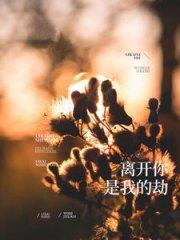 林浅溪傅修年